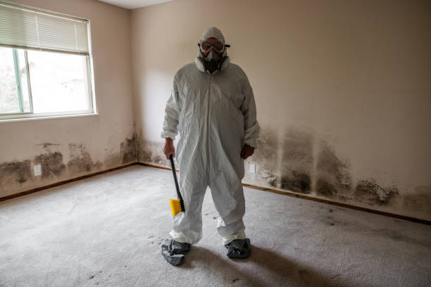 Environmental Consulting for Mold Prevention in Golden Glades, FL